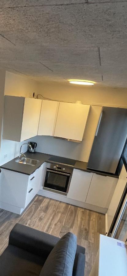 Re-Seapark Apartment Hvidovre Bagian luar foto